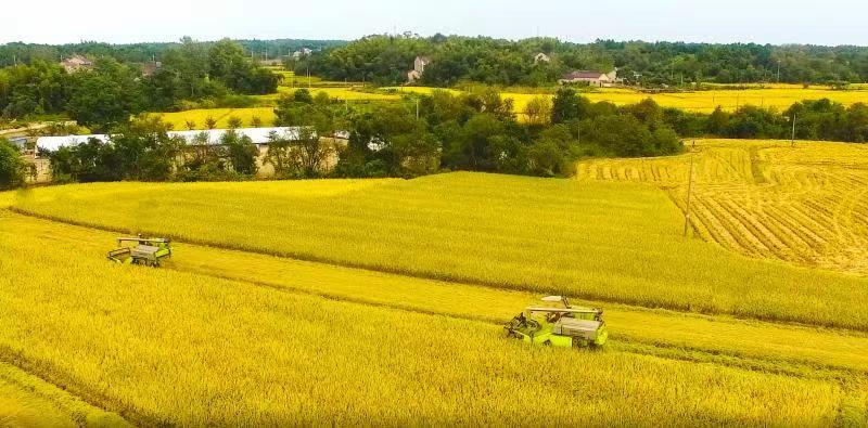 今年会·jnh(中国区)官方网站