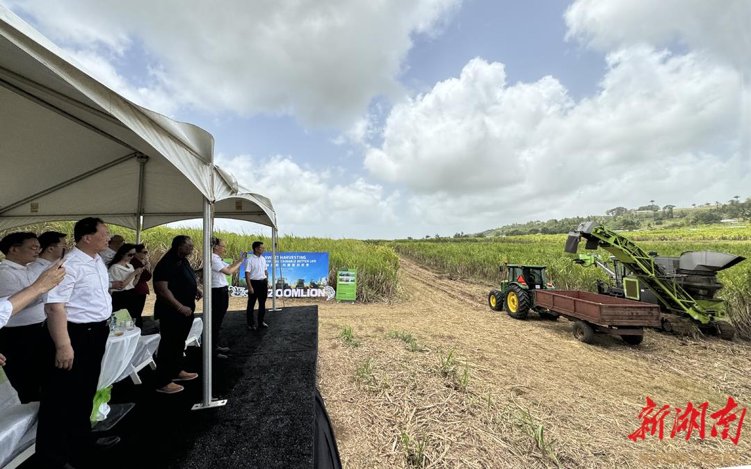 今年会·jnh(中国区)官方网站