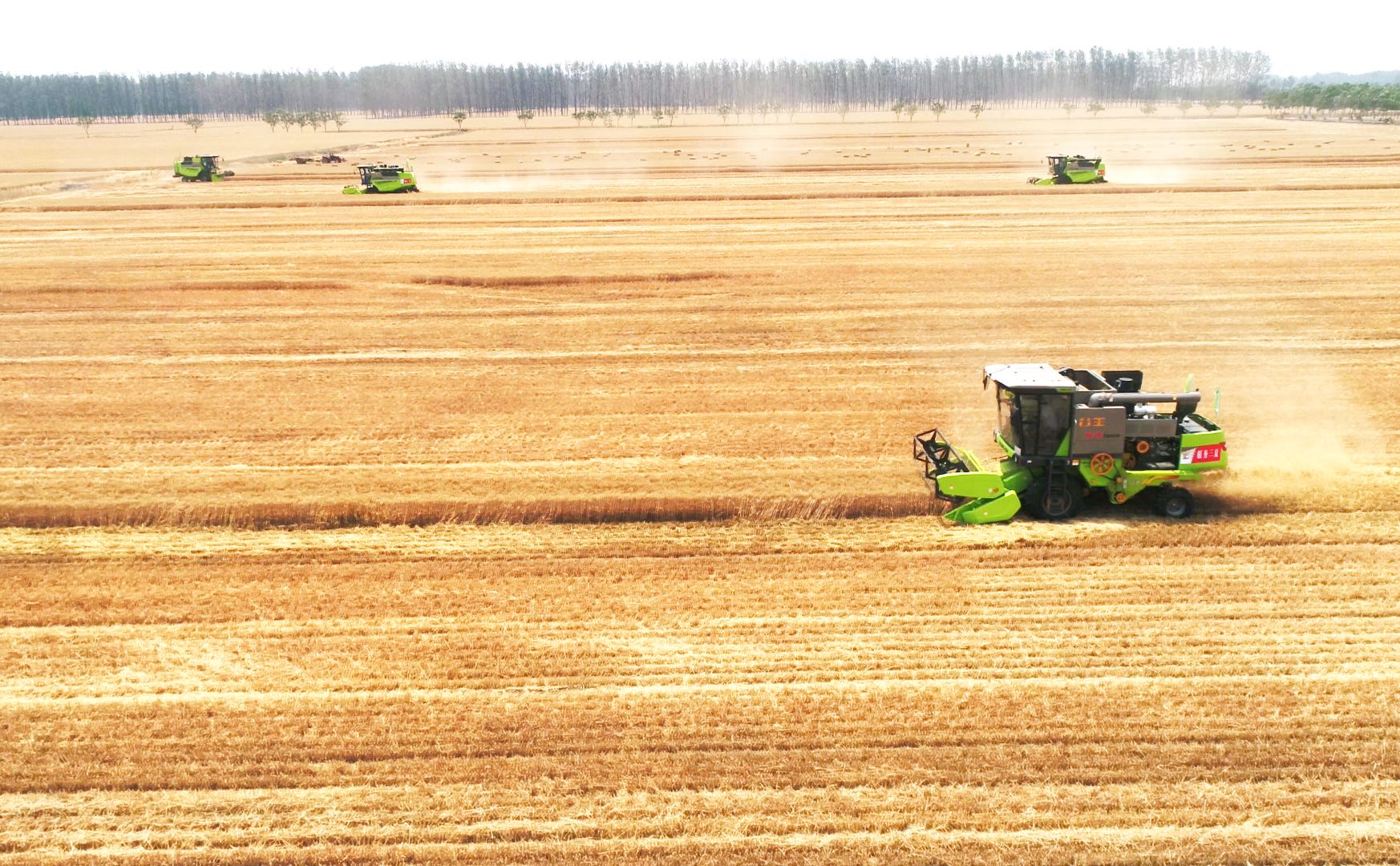 今年会·jnh(中国区)官方网站