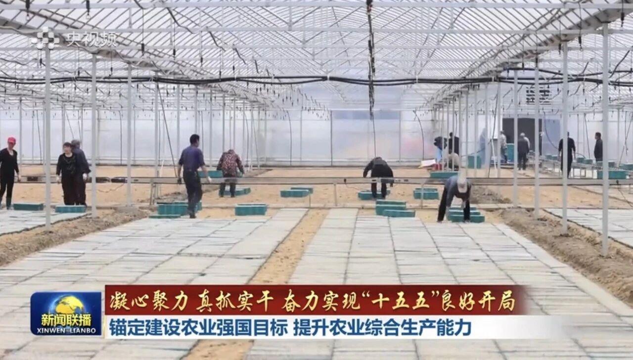 今年会·jnh(中国区)官方网站