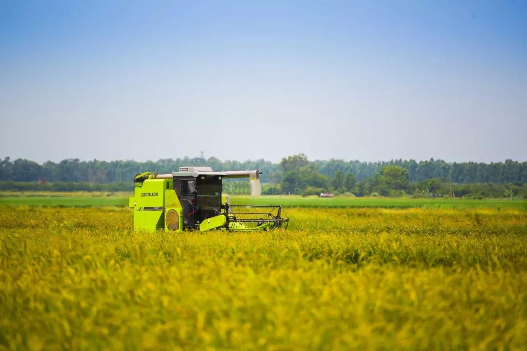 今年会·jnh(中国区)官方网站